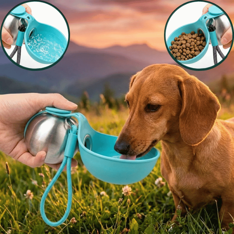GuauSfera™ Termo Portátil Resistente para Mascotas